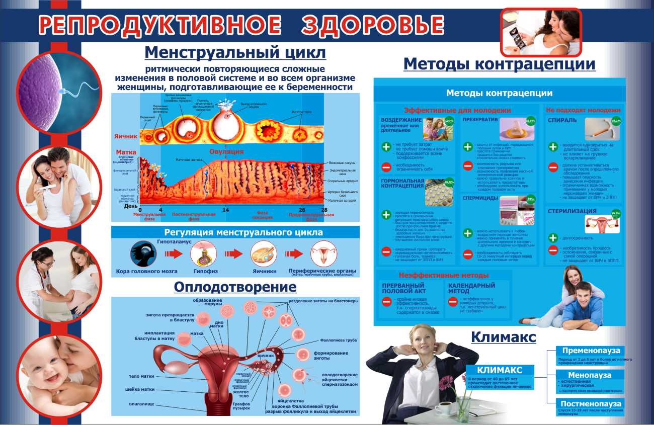 Репродуктивное здоровье в Пушкине